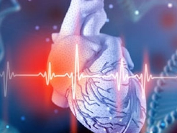 kardiall kalp sağlığı